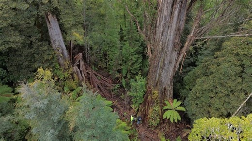 Wilderness Society Tasmania on Reels