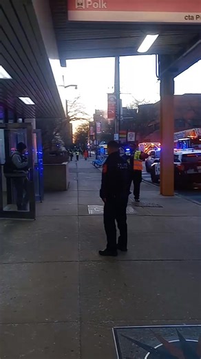 Arrested CTA Pink Line Polk ... reported this offender attacked somebody on the blue line then made it all the way down here to Polk .... jumped off the train and was hiding on the tracks ...report was that he also had a gun ... arrest happened around 5:30 p.m. March 2nd 2026 #ChicagoScanner #CrimeNews | Substance News