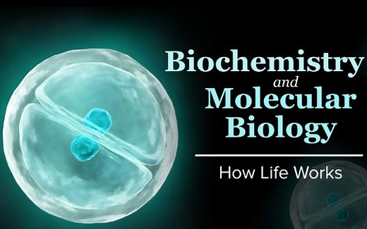 生物学解释生命的运作Biochemistry and Molecular Biology How Life Works