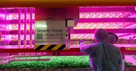 Dubai's Food Tech Valley and ReFarm to build a hi-tech gigafarm | The National