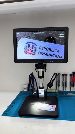 Se acabó el mito de la Biblia y la bandera: explicación