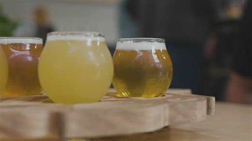 Free People Videos: 4K & HD | No Watermark | Download Now