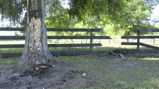 73-year-old Reddick man mowing grass hit and killed by pickup truck