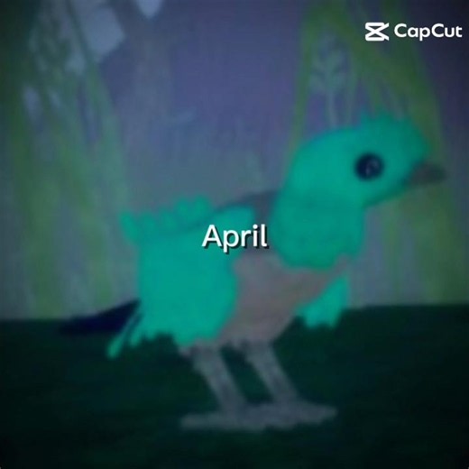 Yoir month your Feather Family bird #featherfamily #roblox #birds #quetzal #wildbirds #wildlife