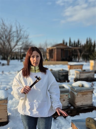 👉 3 მიზეზი რის გამოც შეიძლება ზამთარში ფუტკრის ოჯახი დაიხოცოს 🐝 #საინტერესო #fyp #მეფუტკრეობა #foryou #ფორიუ