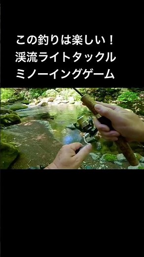 [Izu Fishing] Minnowing in the Kano River tributaries is so much fun!