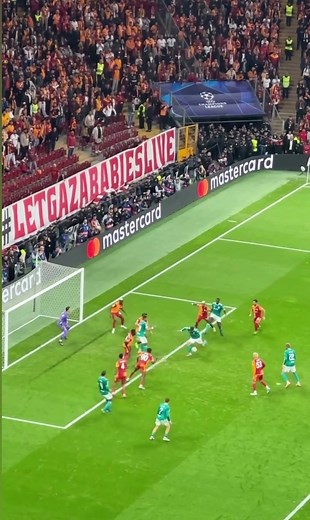 Galatasaray Heyecanı: Korkma Hasan!