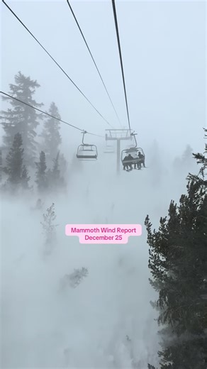 Who shook the snow globe??? @Mammoth Mountain @Burton Snowboards #snowtok #snowreport #weather #mammoth #blizzard @super @ryder