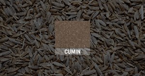 Cumin Concrete Stain Image Gallery