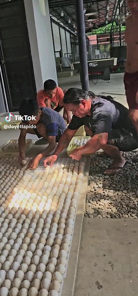 doyetlapido on TikTok