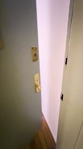 Emily's 525-square-foot Brooklyn studio features clever room dividing and storage ideas. See more of this home at the link in our bio ✨ #brooklynapartment #brooklynapartmenttour #nycapartment #nycapartmenttour #newyorkcityapartment #newyorkcityapartmenttour #apartmenttour #apartmenttherapy #homedecor #interiordesign