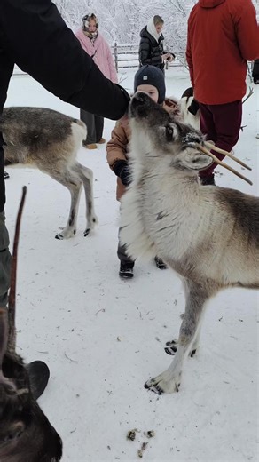 Evgeniya (@8383evgeniya)’s videos with оригинальный звук - Evgeniya