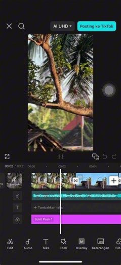Create Stunning Videos Using CapCut Templates