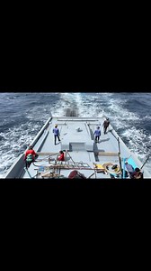 21K views · 60 reactions | Catching Skipjack Tuna Like a Pro! . . . . #fishing #fish #fishinglife #catchandrelease #bassfishing #nature #outdoors #carpfishing #fishingislife #angler #pesca #bass #carp #flyfishing #fisherman #fishingtrip #largemouthbass #fishingaddict #trout #bigfish #hunting #saltwaterfishing #photography #pike #angling #fishingdaily #shimano #fishon #angeln #sea | The life of a fisherman | Facebook