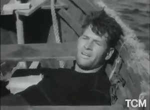 13K views · 666 reactions | We kick off our journey through Deep Sea Cinema with a TAIL as old as time: TIGER SHARK ('32). To prepare for the film, director Howard Hawks spent weeks with real fishing crews, and it's been noted how the final product set the stage for another shark tale 40 years later. | Turner Classic Movies: TCM | Facebook