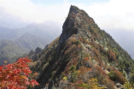石鎚山頂、秋景色　ドウダンツツジやカエデ鮮やか