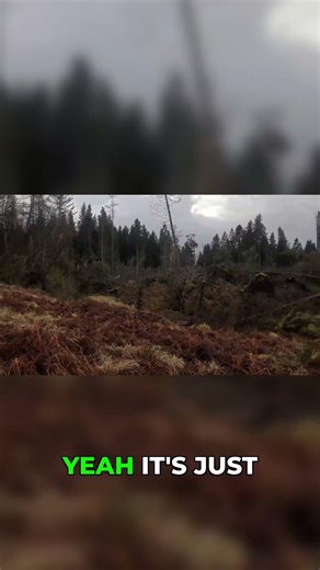 Shocking Storm Arwen damage: Giant root balls!#short#hiking