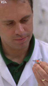 4.2K reactions · 509 shares | Anyone for a fishy breakfast? Get the zookeepers’-eye view down at Penguin Beach. Experience #ZooLife for yourself at ZSL London Zoo. | London Zoo | Facebook