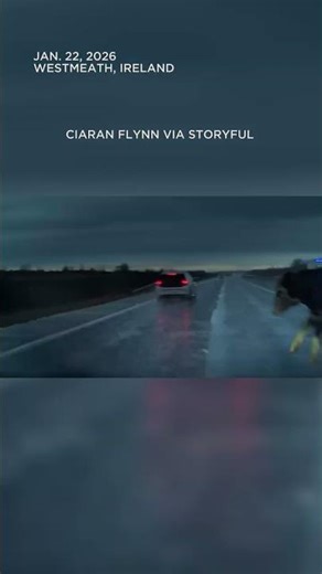 Terrifying Moment Cow Leaps in Front of Car on Highway