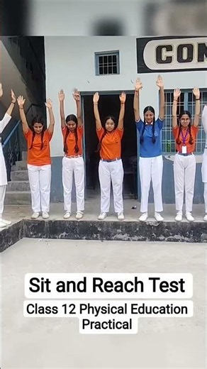 Class 12 Physical Education Practical/ Sot and Reach Test Practice