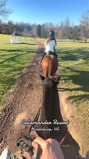 Escape to Salamander Resort: Luxury Near DC