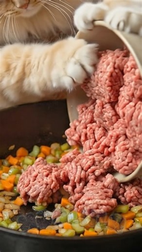 Moolala and Pip on Instagram: "Nana Rose (Moolala's mother) arrived at the cottage today for a surprise visit! She took one look at Pip and decided he needed a "proper meal." So, she took over the kitchen to make her legendary Sunday Lasagna from scratch. She kneads the dough with her own paws and simmers the sauce for hours. It’s a lot of work, but seeing Pip’s full belly at the end makes it all worth it! ❤️ (Safety Note: While Nana Rose is a magical chef, please remember that real onions and g