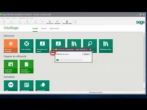 SYSCOHADA REVISED FINANCIAL STATEMENTS WITH SAGE 100 ECF