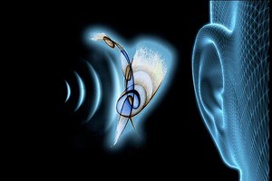 Soundscape Architecture Analyzes Aural Characteristics of Iconic Buildings