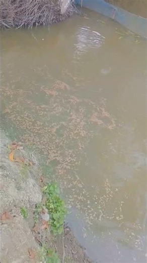 ❤️‍🩹❤️‍🩹