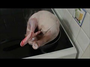 How To Cook Turkey