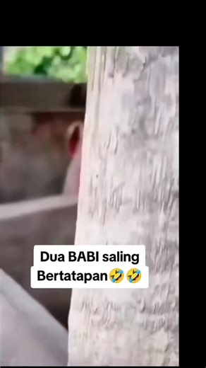 atax on TikTok