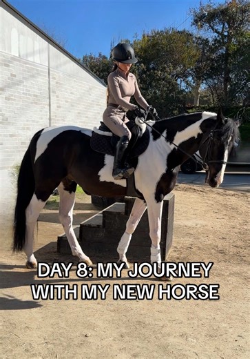 MY JOURNEY WITH MY NEW HORSE: Lesson 8 ✨🐴 Today everything clicked. After changing things up and trusting the process, I felt a level of freedom and connection that reminded me why I fell in love with this journey in the first place. He’s still young and learning, and so am I in new ways, but moments like these make every step worth it. Building a partnership takes time, patience, and trust, and I’m so grateful to have the space to let this one grow exactly as it’s meant to. 🤍💗 #equestrian #h