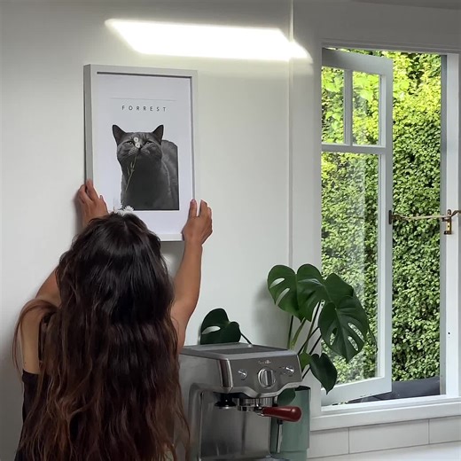 Custom Pet Portraits Using Pet Photo Personalized Digital Dog Portraits Cat Portraits Custom Dog Portraits Custom Pet Art Pet Drawing Poster - Etsy