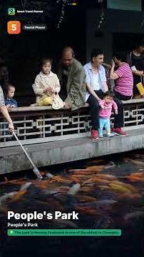 Top 10 Must-Visit Places in Chengdu, China ✈️