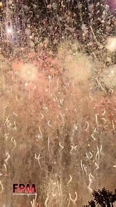 195K views · 4.6K reactions | Wooooo! Amazing | Freakpyromaniacs | Facebook