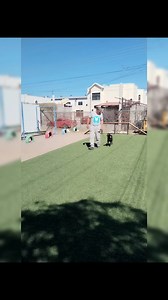 NALA avanzando día con dia en su adiestramiento de obediencia basico en resguardo Solícita informes al 6623508757 o visita nuestra página web www.camiso.club APRENDE ADIESTRA Y DIVIÉRTETE | Camiso Club de Adiestramiento Canino | Facebook