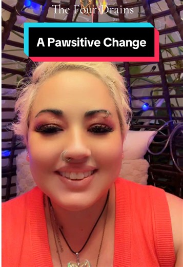 The Four Drains: The need to be wanted, liked, understood, or in control. We waste a lot of time on these wants only to find they are draining energy from us that can be put to better use. #apawsitivechange4usall #therapy #therapytiktok #