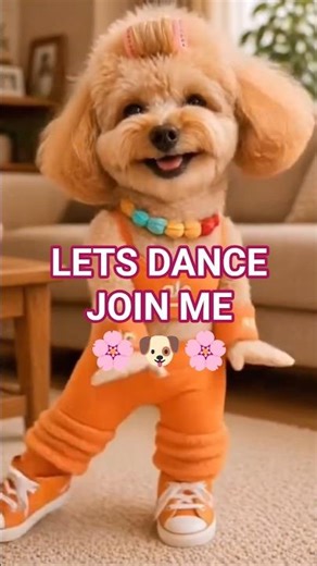 Kiki The dancing Puddle