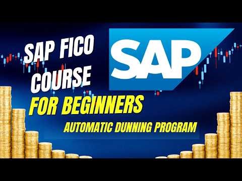 Automatic Dunning Program Configuration in SAP FICO