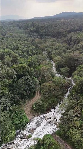 A Hidden Stream Flowing Through Guatemala’s Forest 🌿