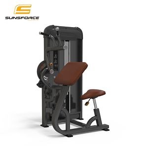 [Hot Item] Commercial Fitness Machine Lifefitness Biceps Curl/Triceps Extension