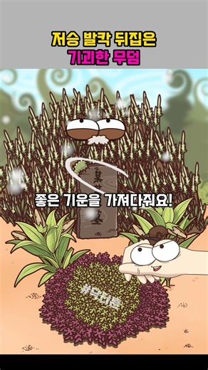 저승 발칵 뒤집은 기괴한 무덤 #쇼츠 #무덤