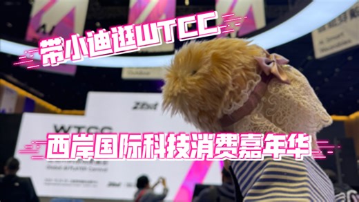 带小迪逛WTCC西岸国际科技嘉年华