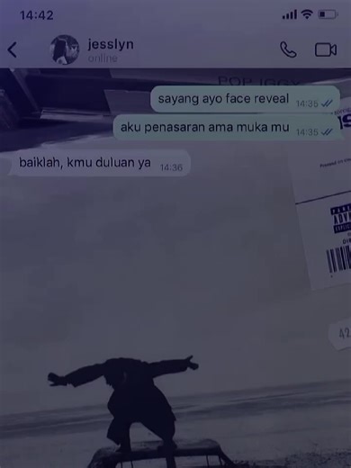 Exploring Alternative Universes in Fan Culture