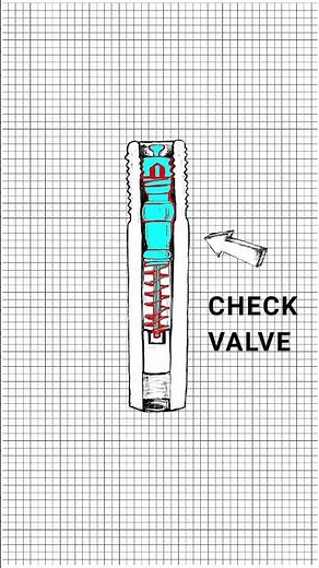 Inside the american bike valve (also known as Schrader valve)