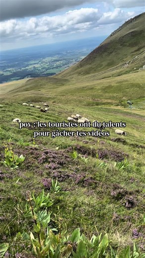 Exploring French Touch in Nature Photography