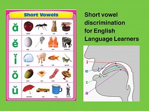 Short Vowel Sounds