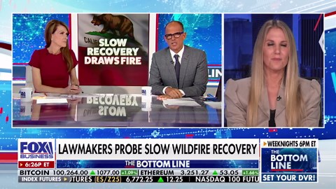 'Showing off' at an international climate conference 'has nothing to do' with the Pacific Palisades fires, Calif. advocate says