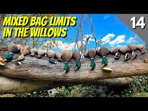 Mixed Bag In A Small Flooded Timber Hole | DUCK HUNTING 2021