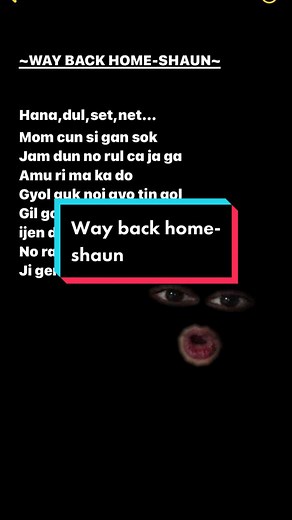 Understanding the Lyrics of 'Way Back Home' by Shaun